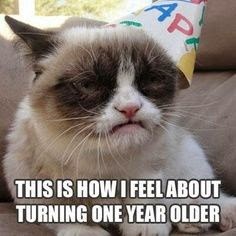 This is how i feel about turning 1 year older