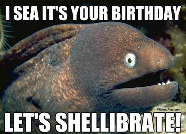 Sea it's your birthday fish funny animal birthday meme