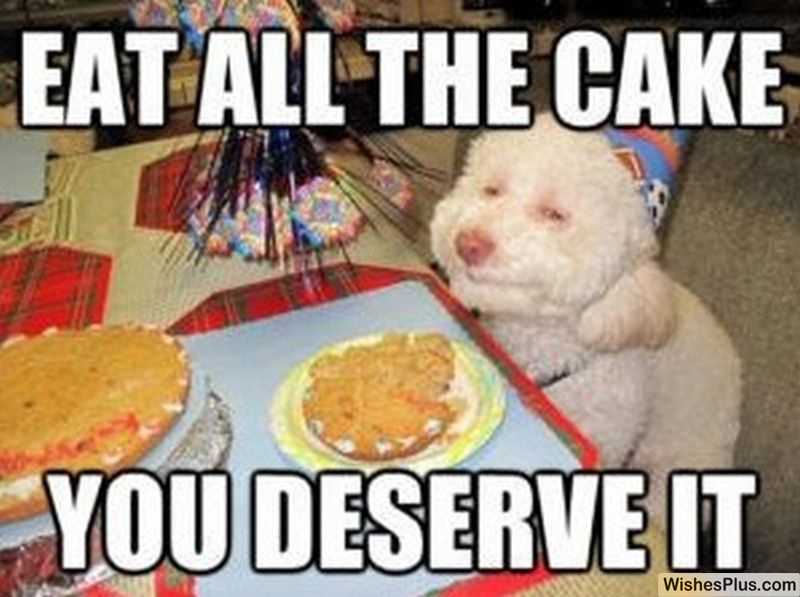 eat-all-cake-funny-Happy-Birthday-Memes