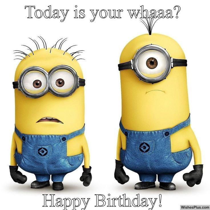 minions funniest happy birthday meme