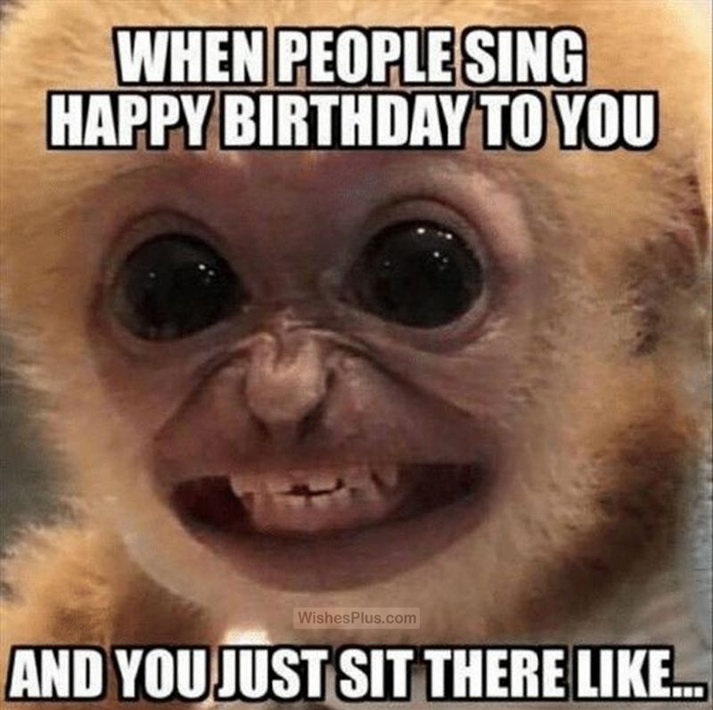 200+ Funny Happy Birthday Memes Collection - Wishes Plus