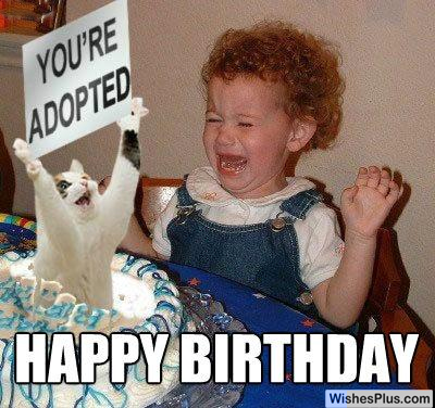 You are adopted funniest birthday meme for kids
